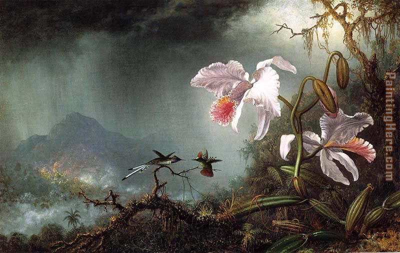 Martin Johnson Heade Two Fighting Hummingbirds with Two Orchids